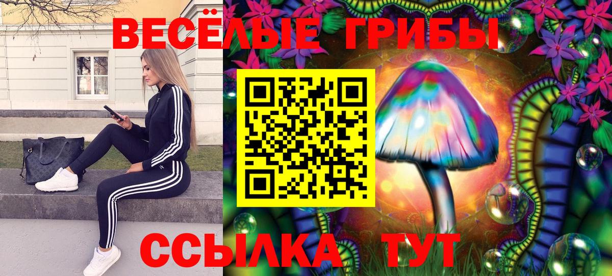 Южноуральск  где продают   Вход с VPN  Галлюциногенные грибы прущие грибы  Галлюциногенные грибы Cubensis 